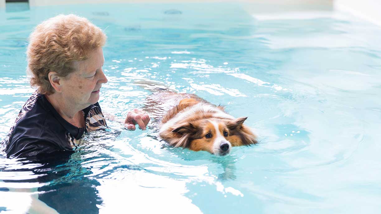 Fido Physio - Programs - Assisted Fitness Swim