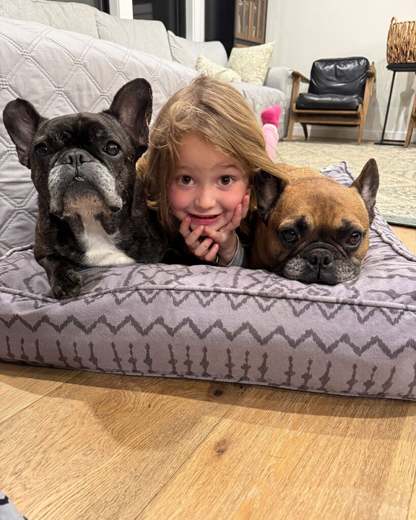 Lady Lux - 11 year old Boston Terrier at home